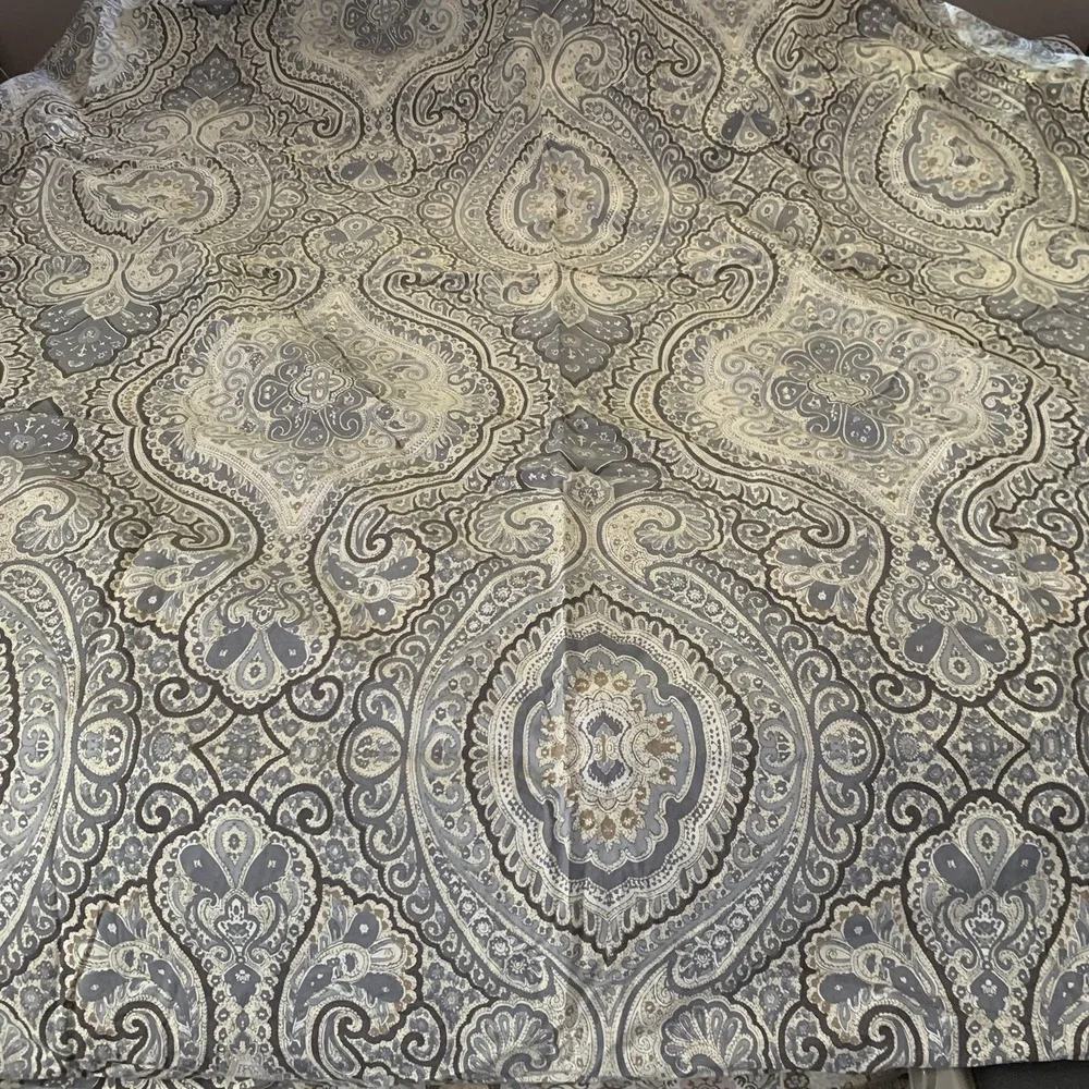 Pottery Barn Beale Paisley Duvet Cover And Two Shams